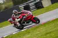 Lower Group Red Bikes